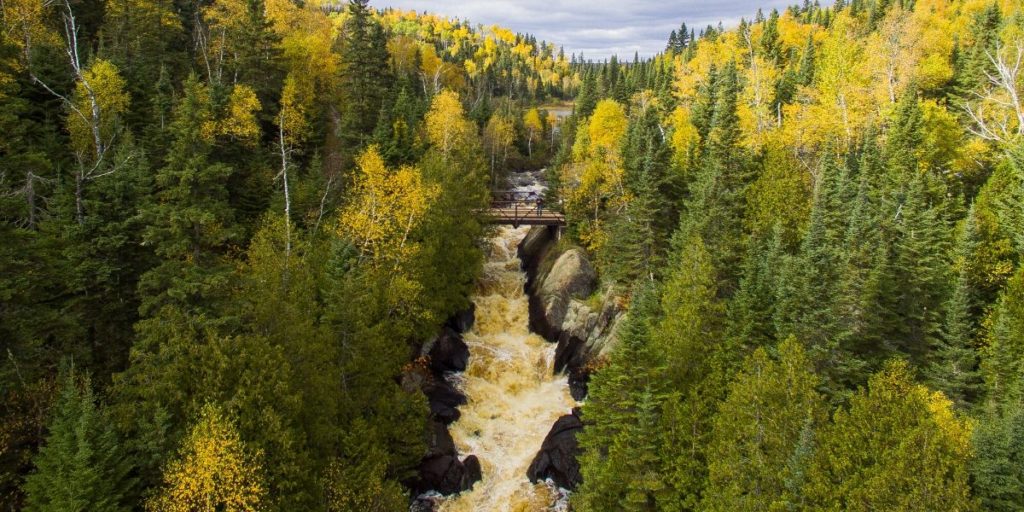 poplar river fall colors