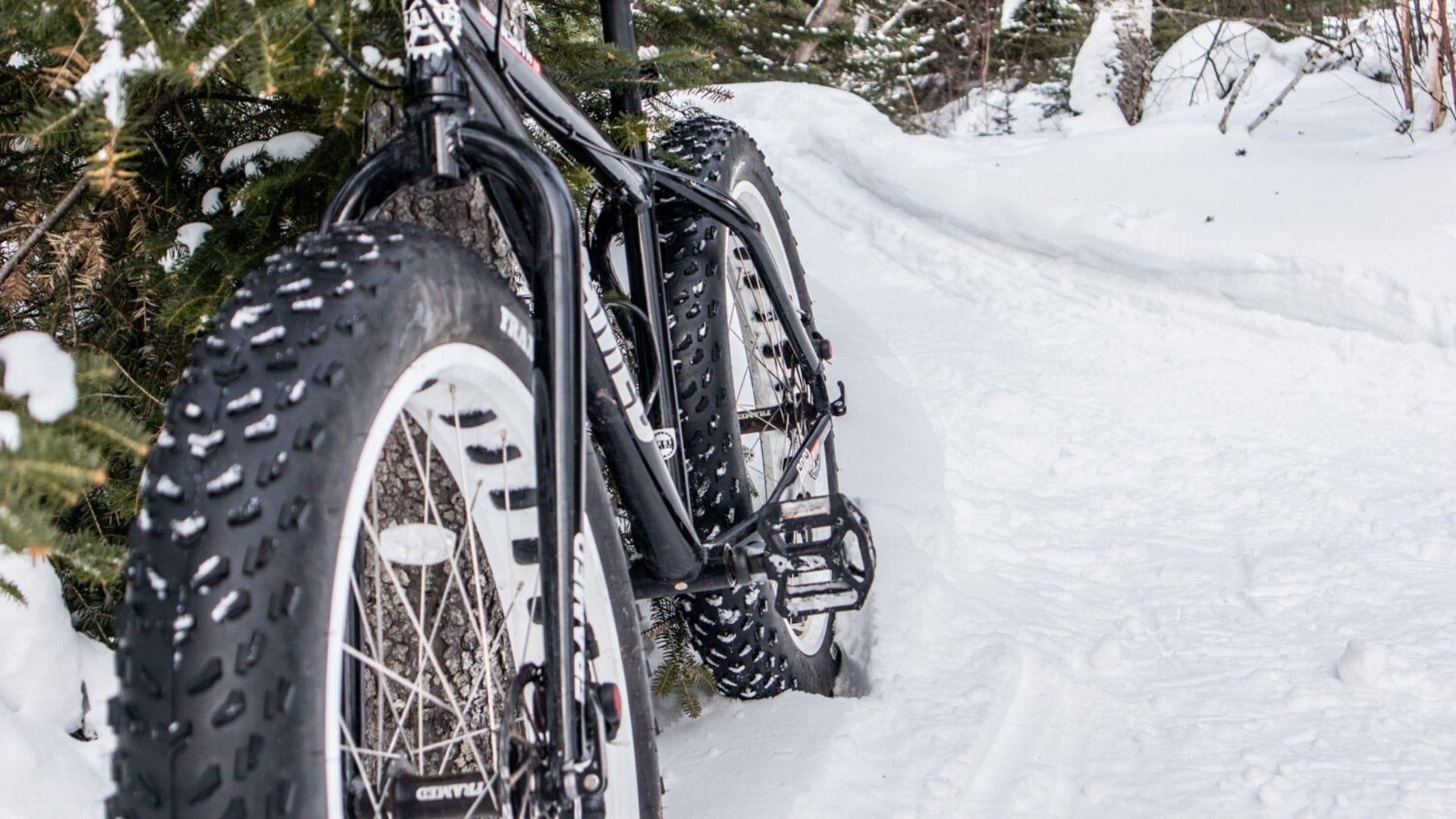 fat tire biking